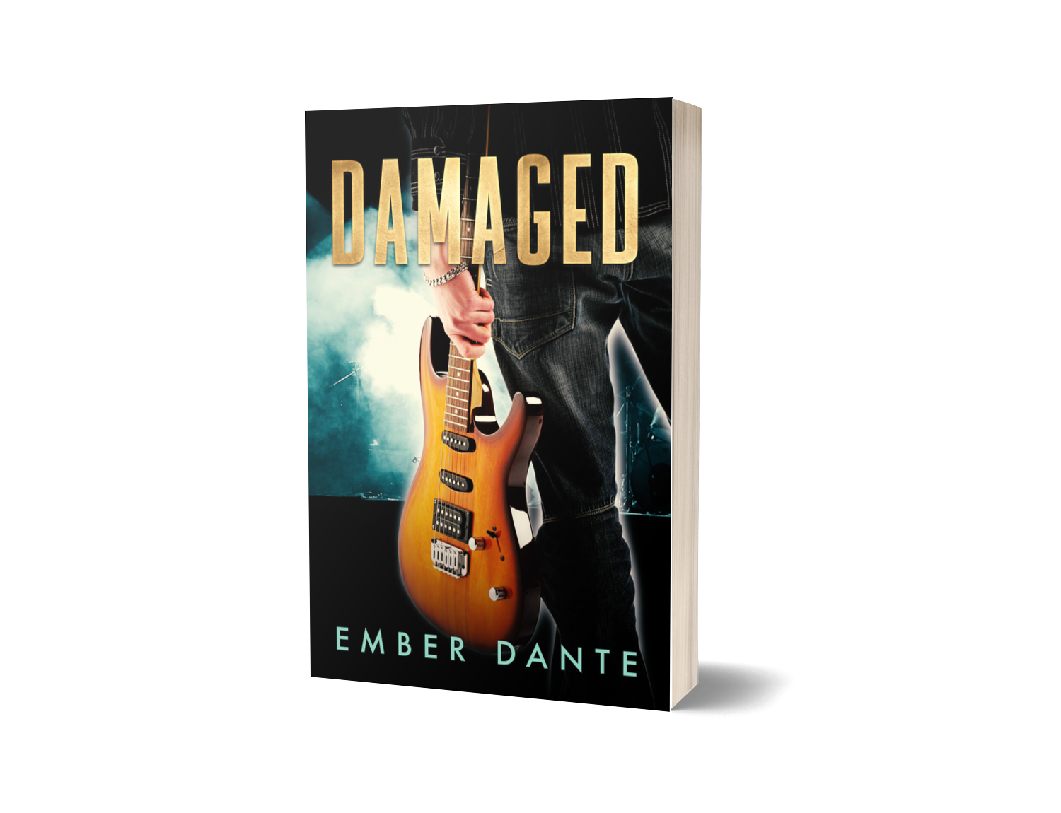book cover for Damaged